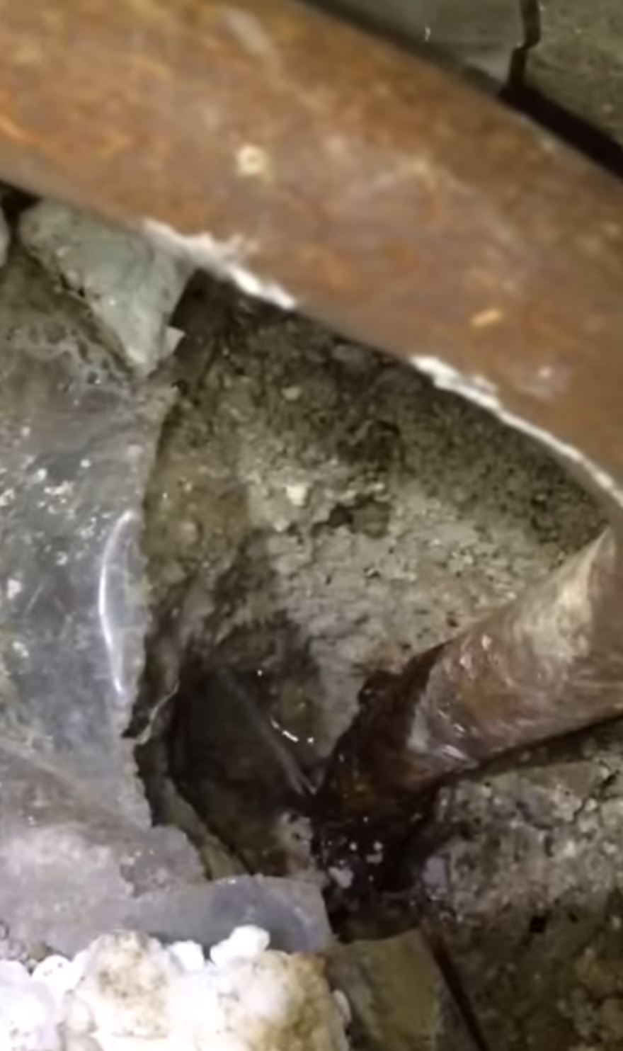 Rohrbruch Ortung in Wien